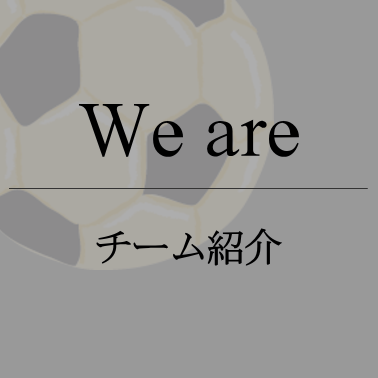 チーム紹介
